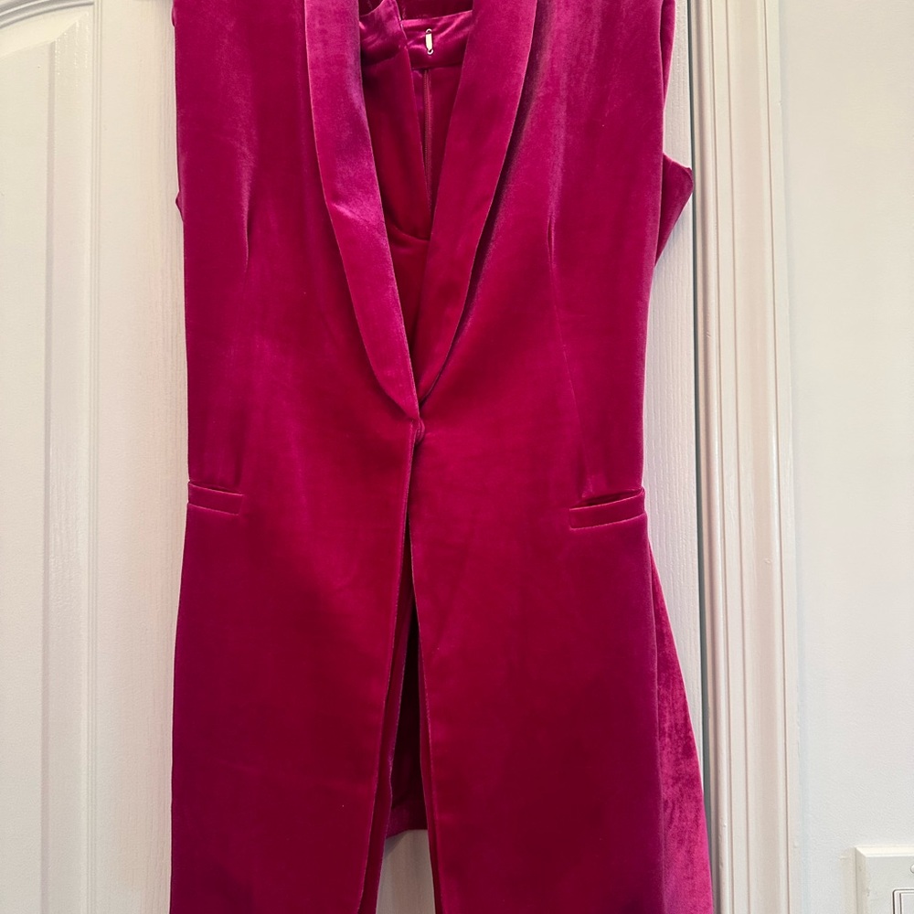 💓1/2 OFFFFF💓 Gorgeous quality velvet Pink  pant suit. M. Skies are blue. - Picture 7 of 16